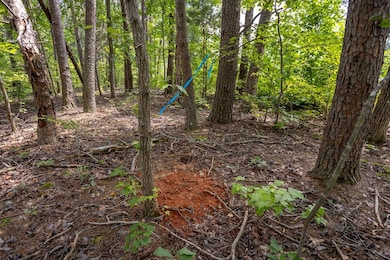 4.19 AC Leda Rd, Nathalie, VA 24577 - photo 6