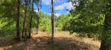 11124 Sunset Ave, Magnolia, TX 77354 - photo 7