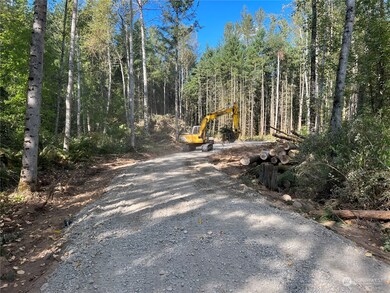 1813 394th St S, Roy, WA 98580 - photo 4