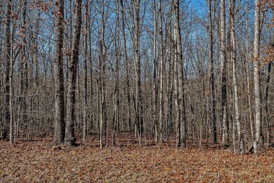 0 E Overlook Rd unit RTC3067659, Monterey, TN 38574 - photo 3