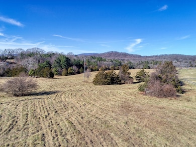 C6 Dick Woods Rd, University, VA 22903 - photo 4