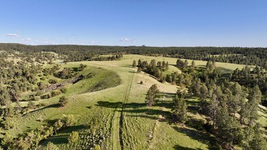 100 Mule Creek Rd, Hulett, WY 82720 - photo 4