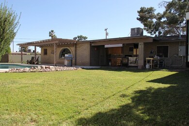 Back Yard 4