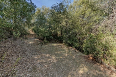 14238 Sutter Highlands Dr, Sutter Creek, CA 95685 - photo 3