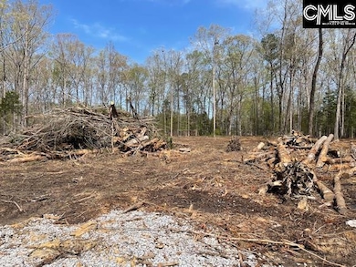 124a Lynch Ln, Chapin, SC 29036 - photo 3