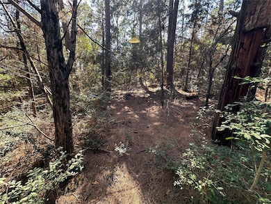 TBD Hula Ln, Bastrop, TX 78602 - photo 3