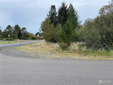 636 E Chance A La Mer NE, Ocean Shores, WA 98569 - photo 5