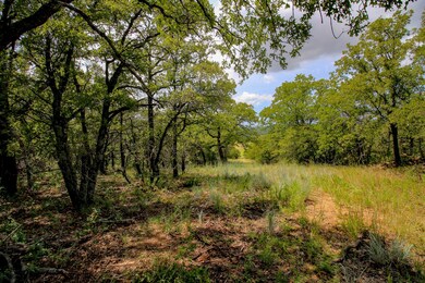 unlisted-address, Bowie, TX 76230 - photo 7