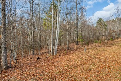0 Crockett Point unit RTC3061405, Jasper, TN 37347 - photo 6