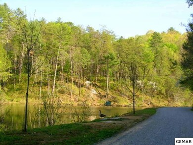 Additional View 3