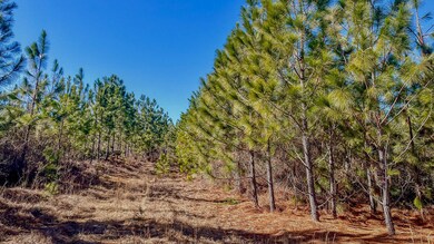 Longleaf Hill Land for Sale in SC-02