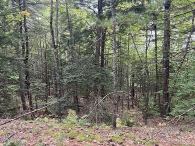 14 Fernalds Hill Way, Stow, ME 04037 - photo 4