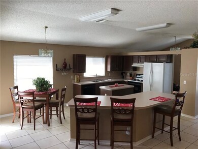 1533 Scotch Pine Dr, Brandon, FL 33511 - photo 7