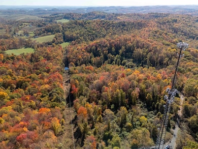 Parcel A Guston Run Rd, Cassville, WV 26501 - photo 4