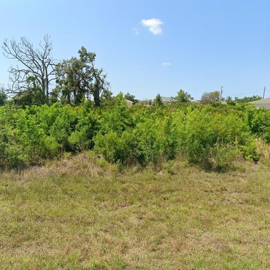 12411 Buffing Rd, Port Charlotte, FL 33981 - photo 2