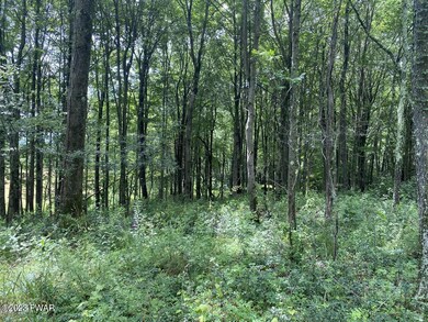 0 Kratz Rd unit PWBPW232303, Honesdale, PA 18431 - photo 6