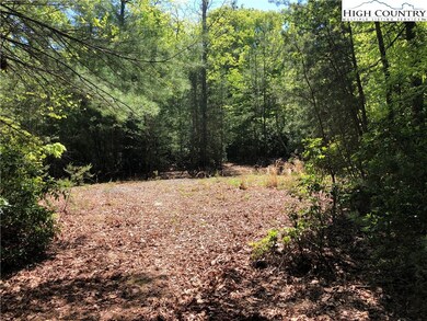 225 Deer Run, Purlear, NC 28665 - photo 2