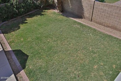 backyard grassy area