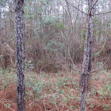 7535 Lillie Ln, Pensacola, FL 32526 - photo 2