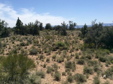 Borders Nat'l Forest