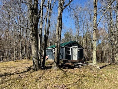 40 Acres + - 150th Ave, Leroy, MI 49655 - photo 3