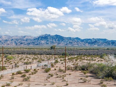 53790 Champ Ln, Salome, AZ 85348 - photo 5