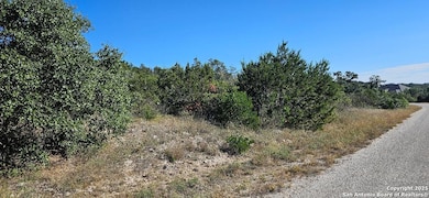 CR 2801 E Lot 202, Mico, TX 78056 - photo 4
