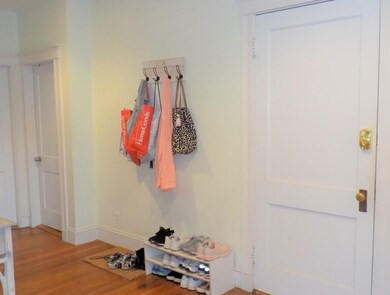 19 University Rd unit 3, Brookline, MA 02445 - photo 3