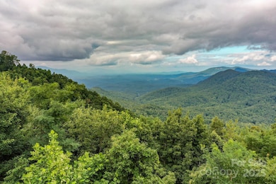 9999 High Cliffs Trail, Black Mountain, NC 28711 - photo 2