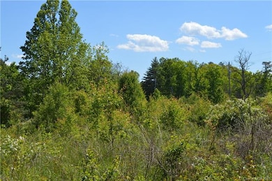 999 Bear Creek Rd, Leicester, NC 28748 - photo 3