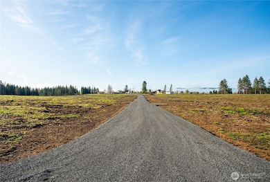 133 Beckett Ln, Chehalis, WA 98532 - photo 5