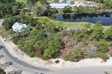 305 Royal Tern Way, Carrabelle, FL 32322 - photo 6