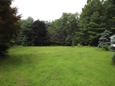 Big Back Yard