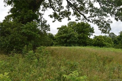 000 Ford Farm Rd, Sharpesburg, NC 28625 - photo 6