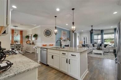 5915 Circa Fishhawk Blvd, Lithia, FL 33547 - photo 3