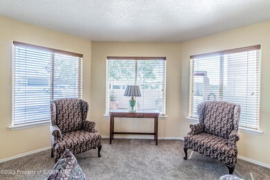 4909 Kingsway Dr, Farmington, NM 87402 - photo 5