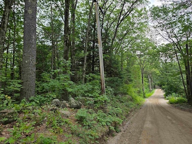 View of the road