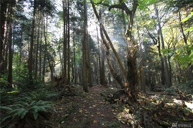 0 Benson Rd, Point Roberts, WA 98281 - photo 7