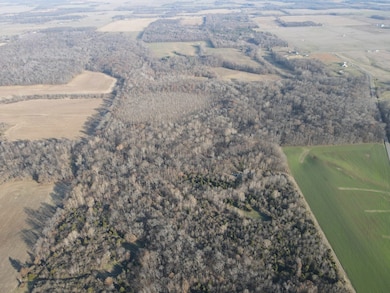 000 County Highway 7, Cisne, IL 62823 - photo 6