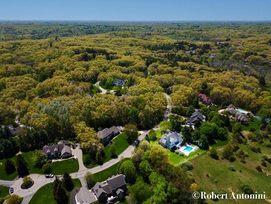 DJI_0786 - HIGHLIGHT