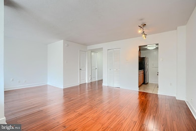 Mica Condominiums unit 100, Silver Spring, MD 20910 - photo 5
