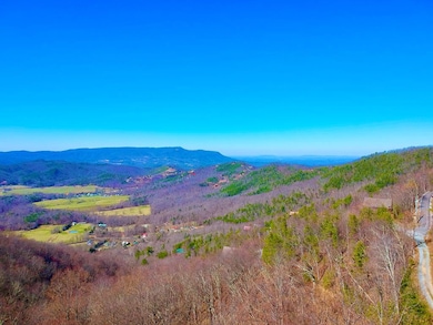 1-A,2-A,3- Ravens Den Way, Sevierville, TN 37862 - photo 2