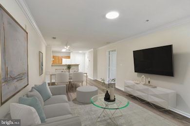 The Market Street Condos unit T35, Reston, VA 20190 - photo 7