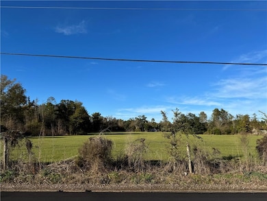 TBD 1-E Barnum Rd, Springfield, LA 70462 - photo 3