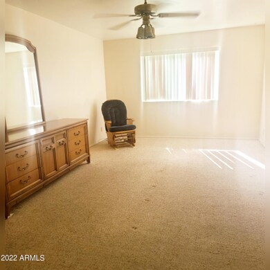 InShot_20220518_184809794