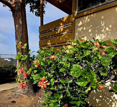 2666 Worden St unit 8, San Diego, CA 92110 - photo 3