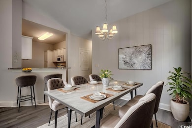 999 Algonquin Dr unit E, Pawleys Island, SC 29585 - photo 3