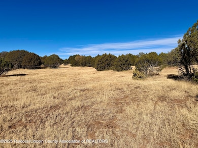 102 Tiwa Trail, Alto, NM 88312 - photo 6