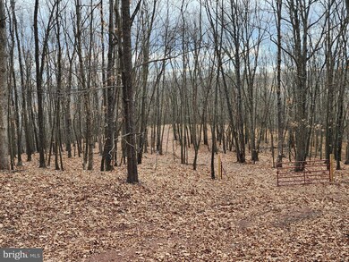 LOT-11 Deer Run Rd, Baker, WV 26801 - photo 7