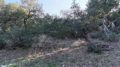 View of woods